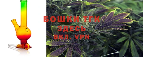 индика Белоозёрский