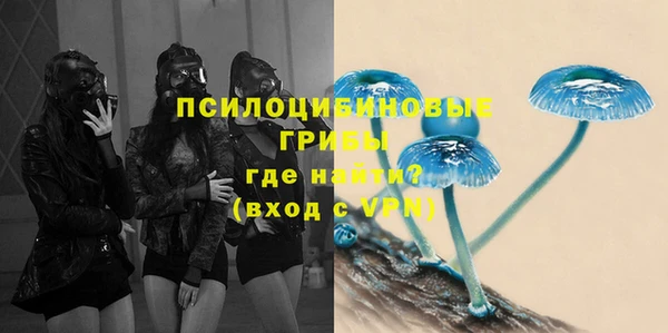 индика Белоозёрский