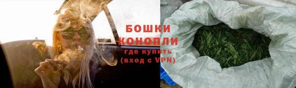индика Белоозёрский