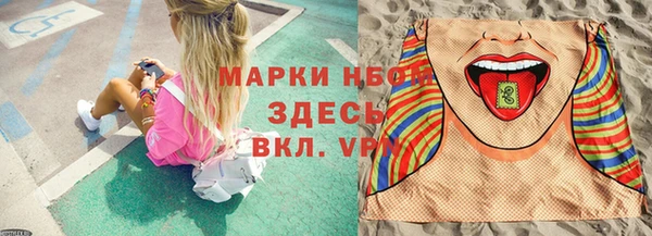 индика Белоозёрский