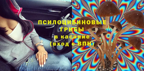 индика Белоозёрский
